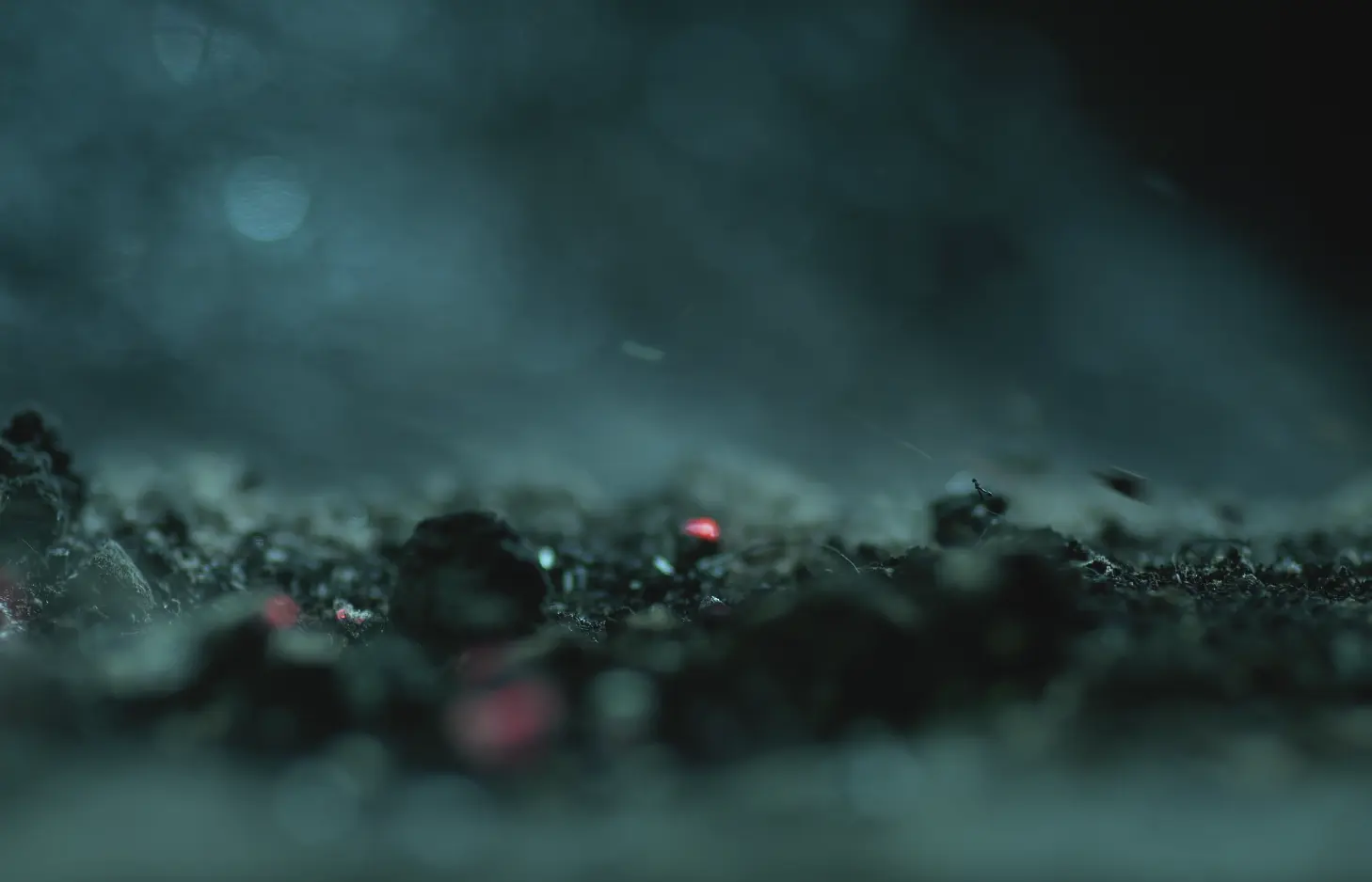 [*banner-title:len:gt=`0`:then=`Dienstverlening`:else=`Waarom Borhera?`]]